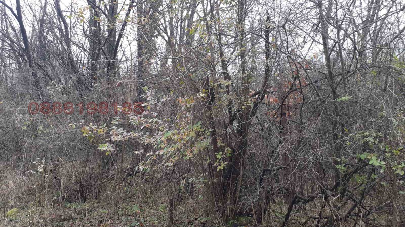 Продава ПАРЦЕЛ, с. Миланово, област София област