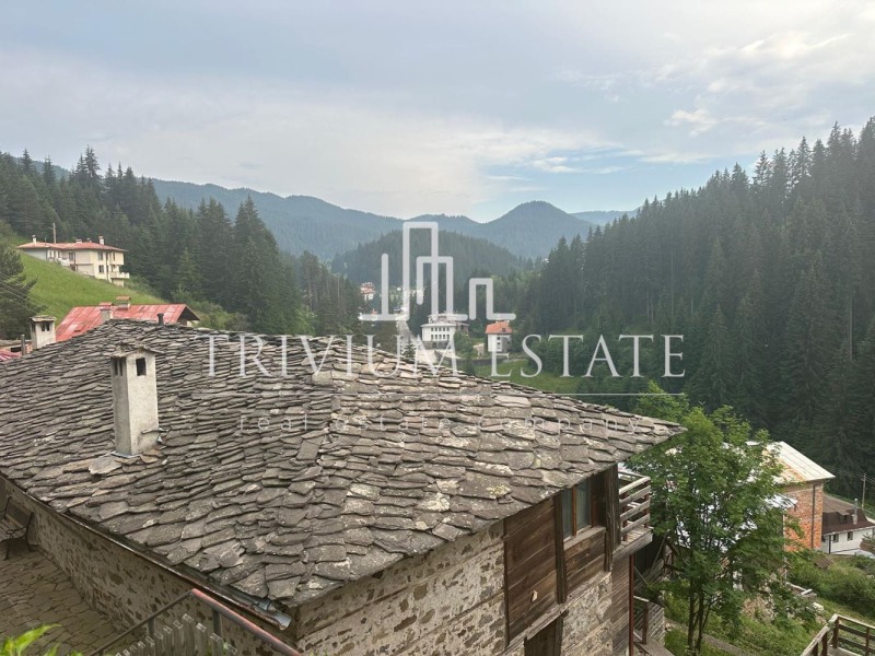 Продава ПАРЦЕЛ, с. Стойките, област Смолян, снимка 3 - Парцели - 52649919