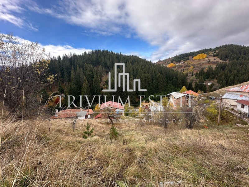 Продава ПАРЦЕЛ, с. Стойките, област Смолян, снимка 4 - Парцели - 52649919