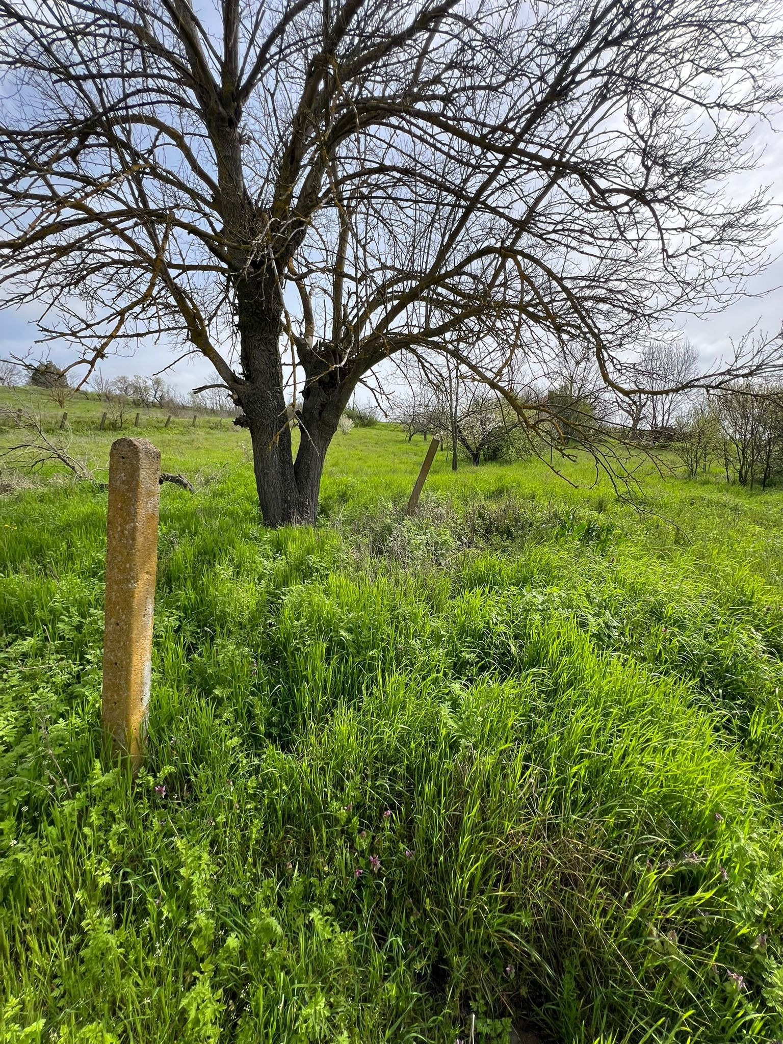 ������� ���� | Imot.bg � ����������� 4