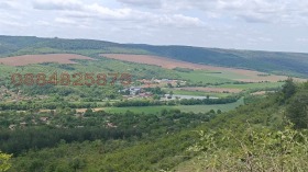 ����� ������� ����,�. �����������, ������ �������