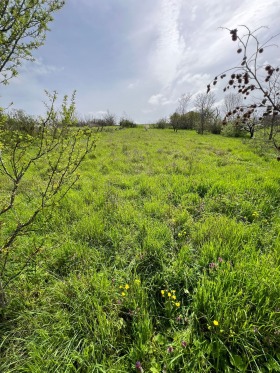 ������� ���� | Imot.bg � ����� ������ 7