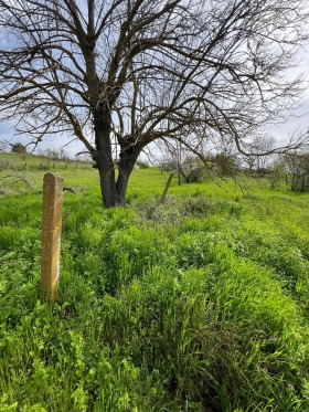 ������� ���� | Imot.bg � ����� ������ 4