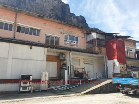 ������ ������� ����. ���������