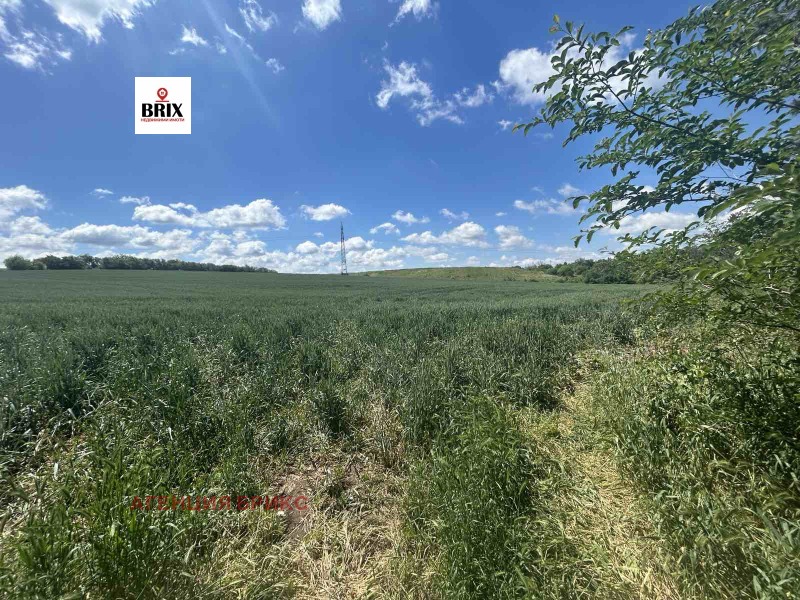 Продава  Парцел град Русе , Нова промишлена зона , 27000 кв.м | 64133805 - изображение [2]