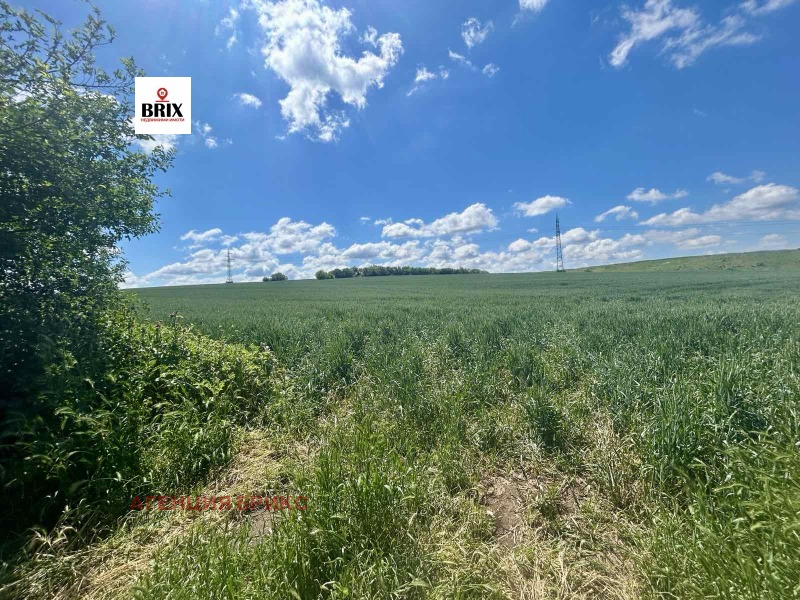 Продава  Парцел град Русе , Нова промишлена зона , 27000 кв.м | 64133805 - изображение [3]