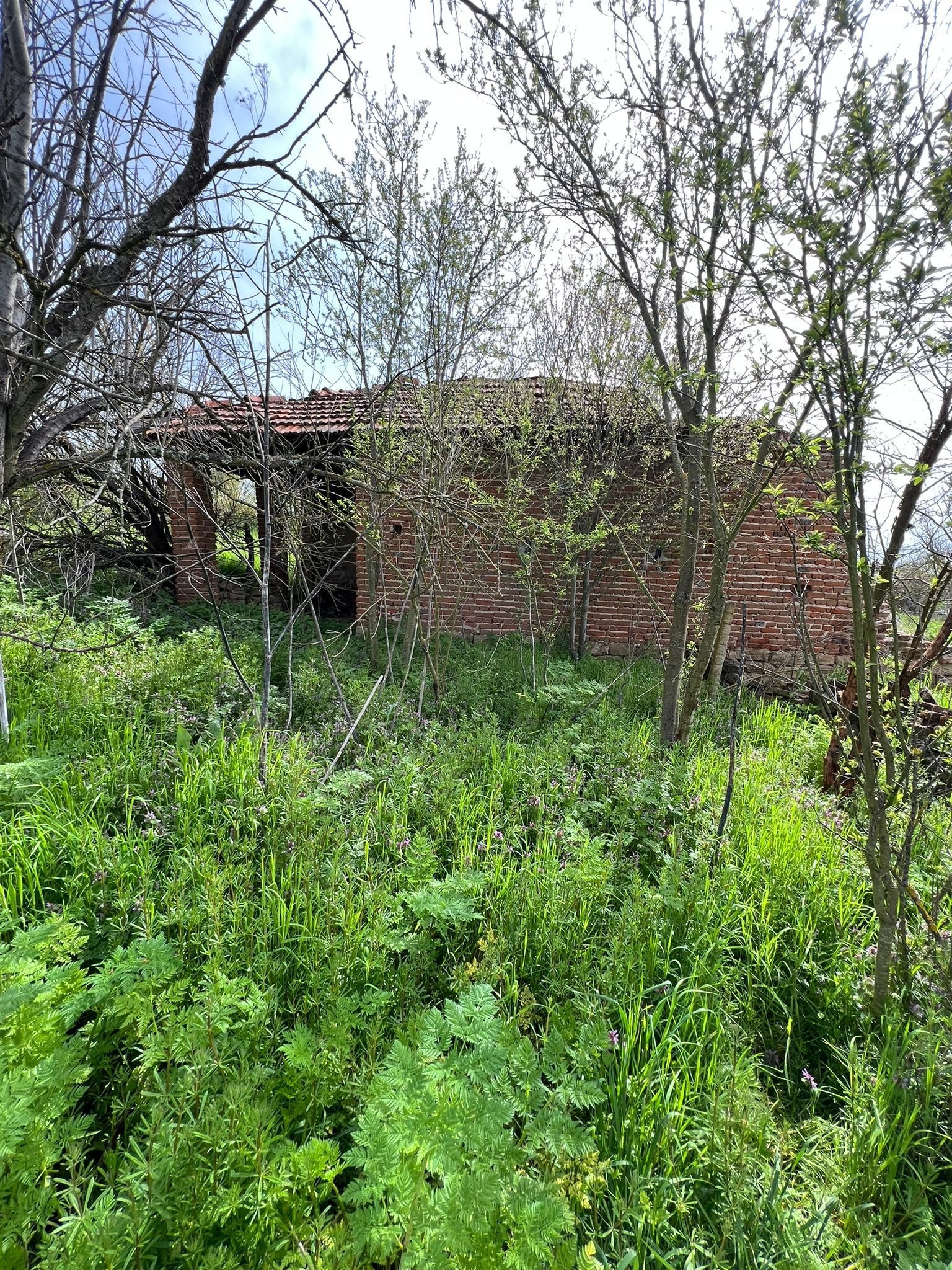 Продава КЪЩА, с. Светлина, област Бургас, снимка 8 - Къщи - 54289066