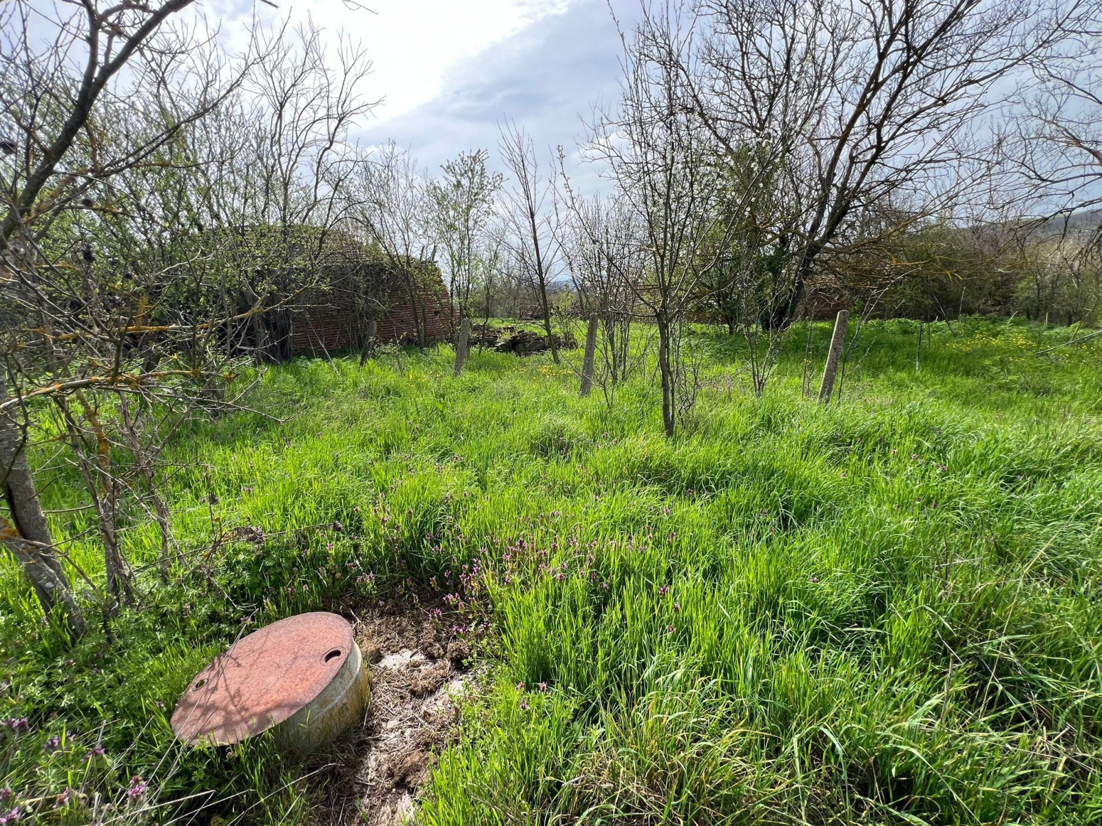 Продава КЪЩА, с. Светлина, област Бургас, снимка 6 - Къщи - 54289066