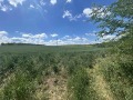 Продава ПАРЦЕЛ, град Русе, Нова промишлена зона • 463500 € • 84843325 — Holmes.bg