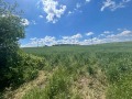 Продава ПАРЦЕЛ, град Русе, Нова промишлена зона • 463500 € • 84843325 — Holmes.bg