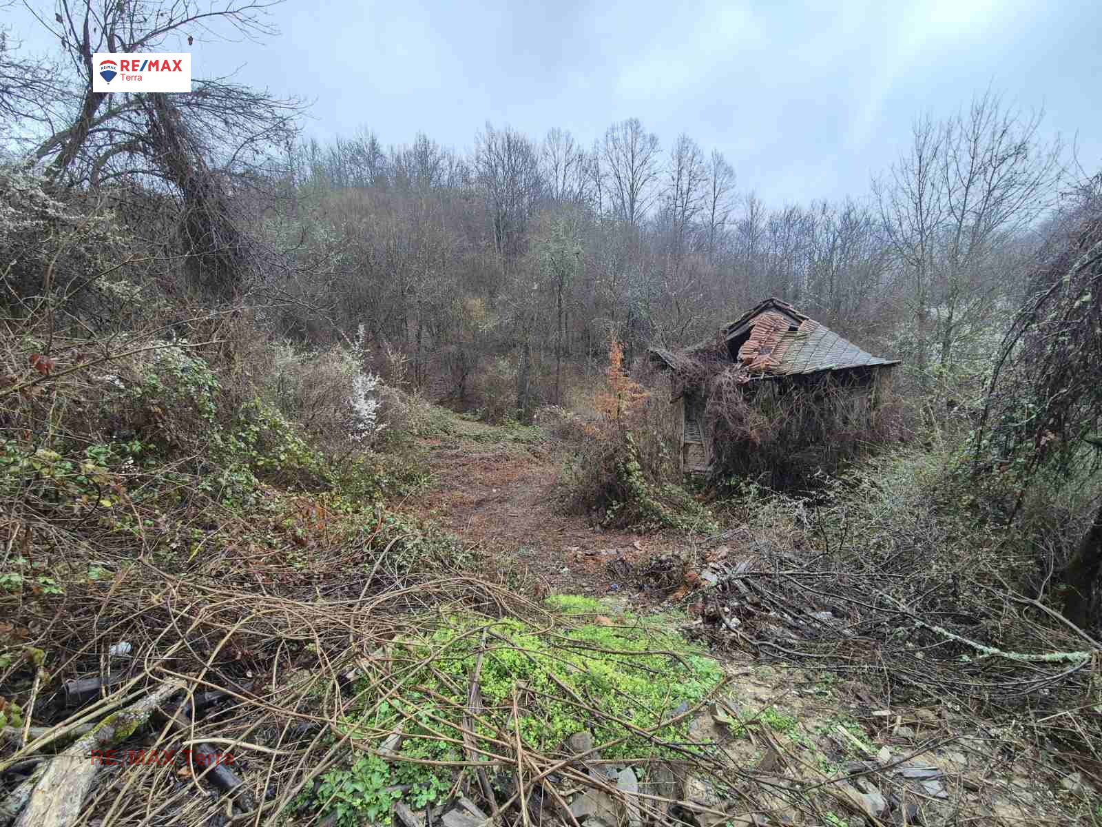 ������� ������ | Imot.bg � ����������� 5