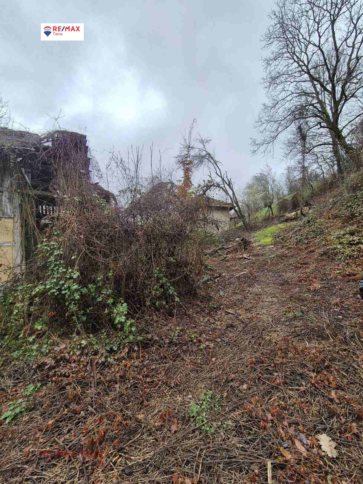 ������� ������ | Imot.bg � ����������� 12