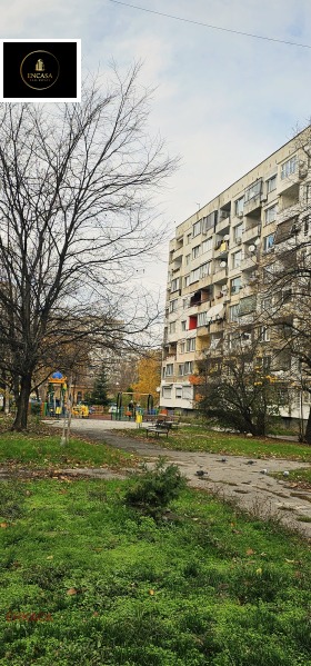 ����� ������� 2-�����,���� �����, ����� ������