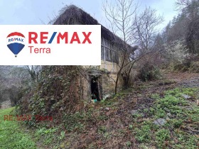 ����� ������� ������,�. ������, ������ �����