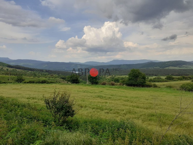 À venda  Casa região Burgas , Podvis , 710 m² | 12391965 - imagem [17]