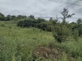Продава ПАРЦЕЛ, град Перник, Ралица • 31860 € • 76671064 — Holmes.bg