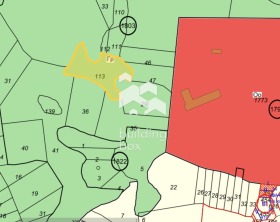 ����� ������� ������,���� �����, �. ������