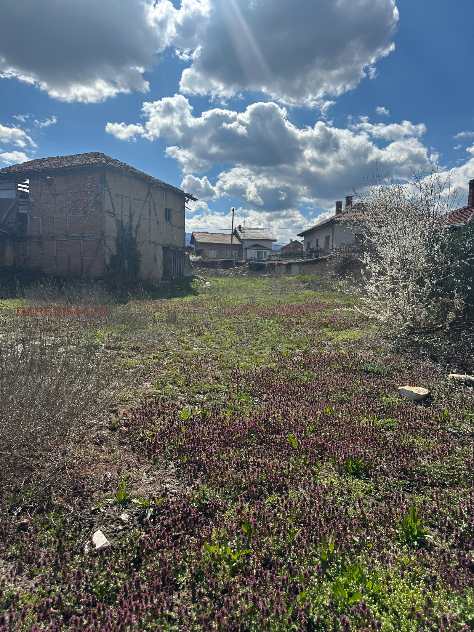 Продава ПАРЦЕЛ, гр. Долна баня, област София област, снимка 3 - Парцели - 54131789