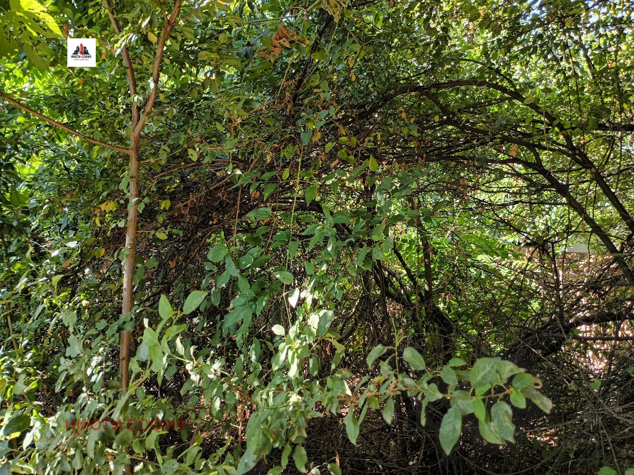 ������� ���� | Imot.bg � ����������� 5