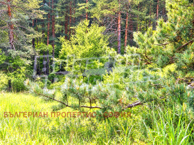 ������� ������ | Imot.bg � ����� ������ 15