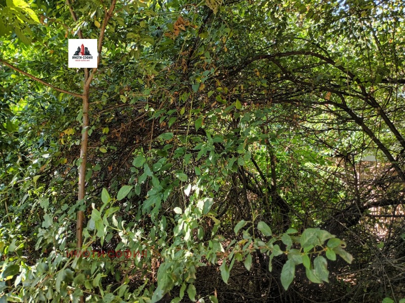 Продава ВИЛА, гр. Свищов, област Велико Търново, снимка 5 - Вили - 52988402