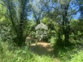 Продава ПАРЦЕЛ, област Русе, с. Щръклево • 9000 € • 53983029 — Holmes.bg