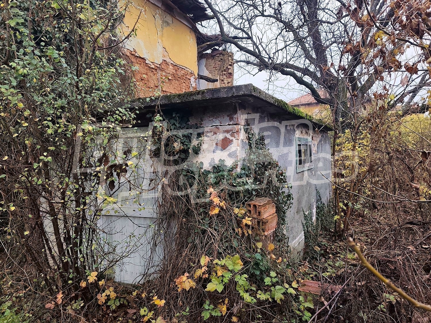 ������� ���� | Imot.bg � ����������� 17