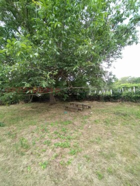 ����� ������� ������,�. �������, ������ �����