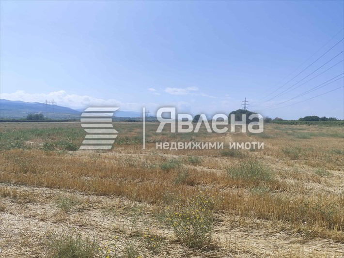 Satılık  Komplo bölge Filibe , Brestovica , 3901 metrekare | 52133260