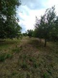 Продава ПАРЦЕЛ, с. Ветрино, област Варна, снимка 8