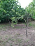 Продава ПАРЦЕЛ, с. Ветрино, област Варна, снимка 5