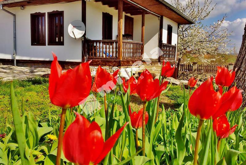 Продава КЪЩА | Imot.bg — изображение 12