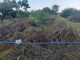 ����� ������� ������,�. �������, ������ ������