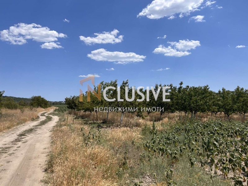 For Sale  Plot region Varna , Aksakovo , 2843 sq.m | 60750885 - image [3]