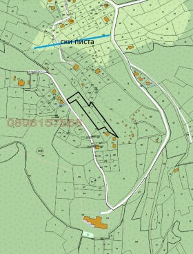 ����� ������� ������,���� �������, ������ �������