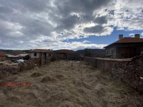 ������ ������� ������