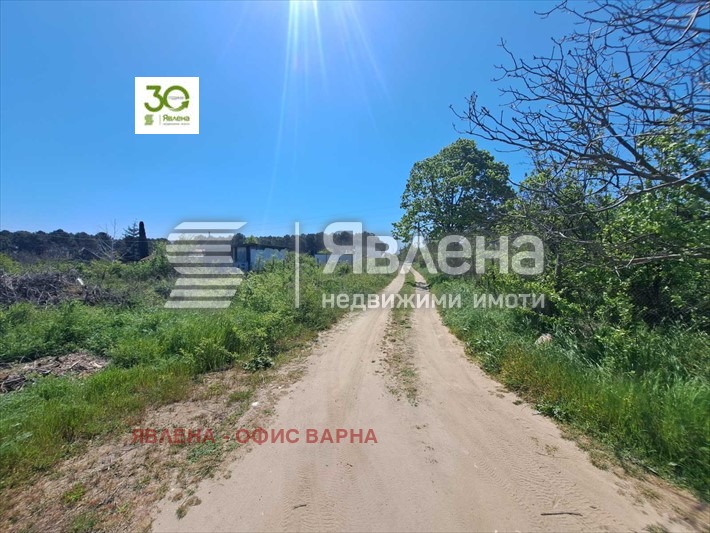 Satılık  Komplo Varna , m-t Borovec - sever , 703 metrekare | 93404971 - görüntü [2]