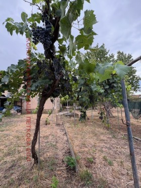 ������� ���� | Imot.bg � ����� ������ 3