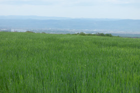 Cselekmény Suhodol, Sofia 2