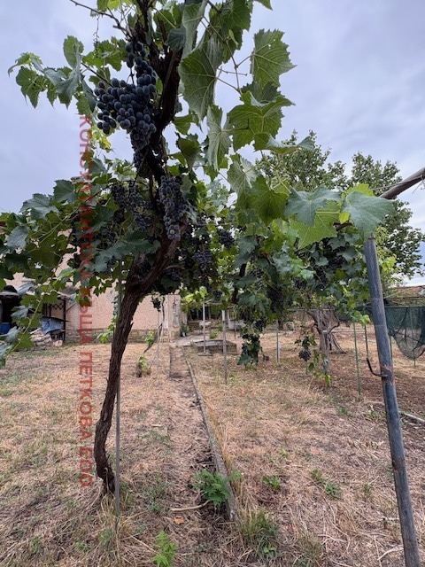 Продава КЪЩА, с. Дойренци, област Ловеч, снимка 3 - Къщи - 54308496