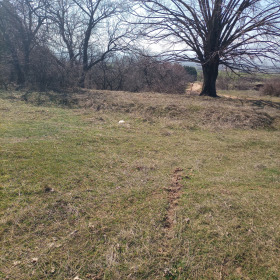 ����� ������� ������,���� �����, �. ��������