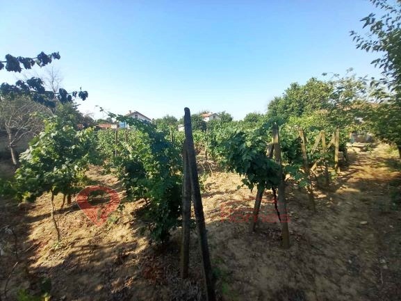 Продаја  Плот регион Шуменска , Ивански , 1000 м2 | 79550401 - слика [7]
