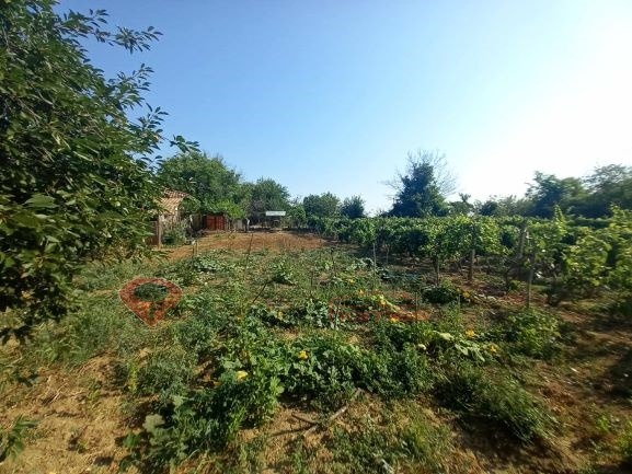 Продаја  Плот регион Шуменска , Ивански , 1000 м2 | 79550401 - слика [6]