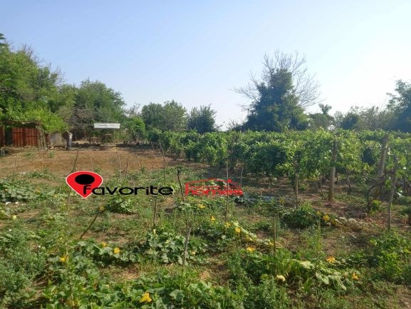 Продаја  Плот регион Шуменска , Ивански , 1000 м2 | 79550401 - слика [3]