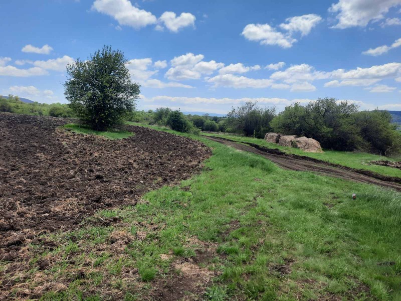 Na prodej  Přistát oblast Pernik , Arzan , 4 dka | 42408354 - obraz [2]