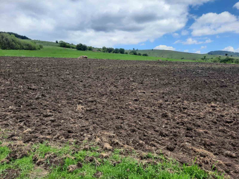 Na prodej  Přistát oblast Pernik , Arzan , 4 dka | 42408354 - obraz [8]