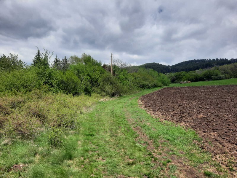 Na prodej  Přistát oblast Pernik , Arzan , 4 dka | 42408354 - obraz [4]