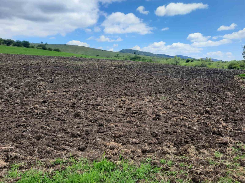 Na prodej  Přistát oblast Pernik , Arzan , 4 dka | 42408354 - obraz [10]