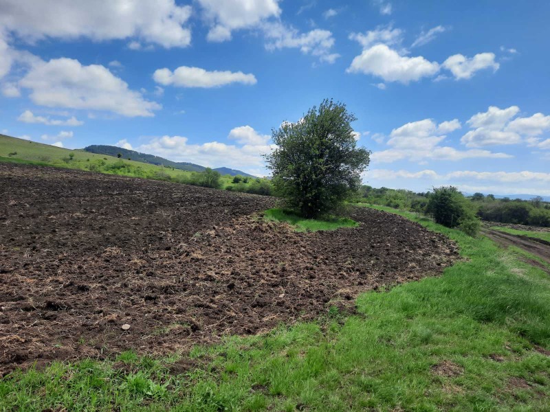 Na prodej  Přistát oblast Pernik , Arzan , 4 dka | 42408354 - obraz [6]
