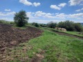 Продава ЗЕМЕДЕЛСКА ЗЕМЯ, с. Арзан, област Перник, снимка 2